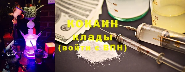 гашик Богданович