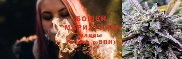дживик Богородицк