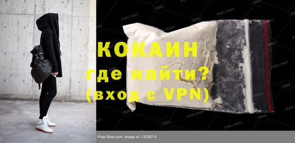 гашик Богданович