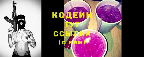 гашик Богданович