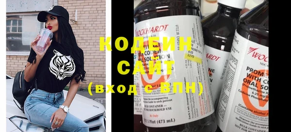 дживик Богородицк