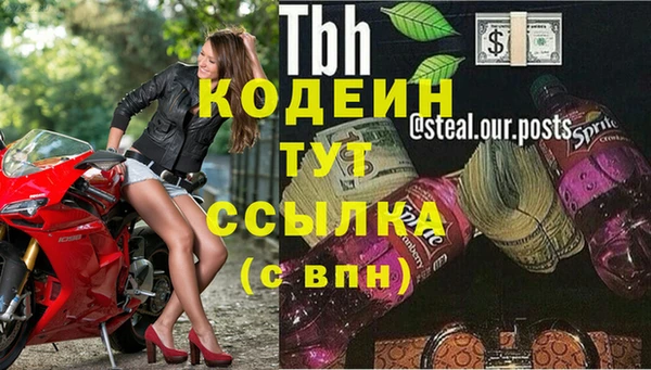 гашик Богданович