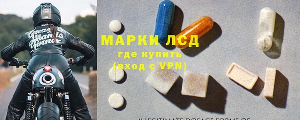 гашик Богданович