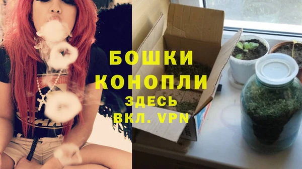 гашик Богданович