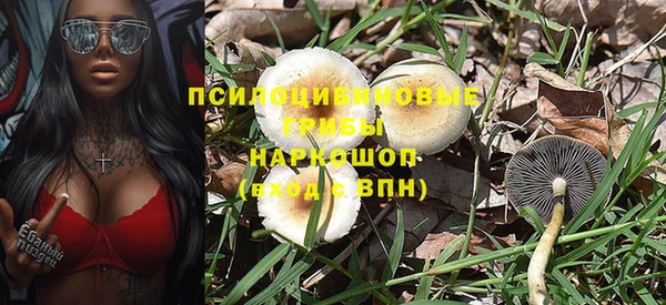 гашик Богданович