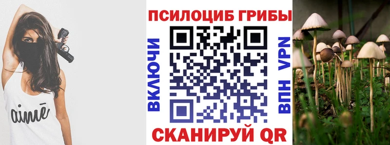 Купить  Петровск-Забайкальский  Псилоцибиновые грибы Magic Shrooms 